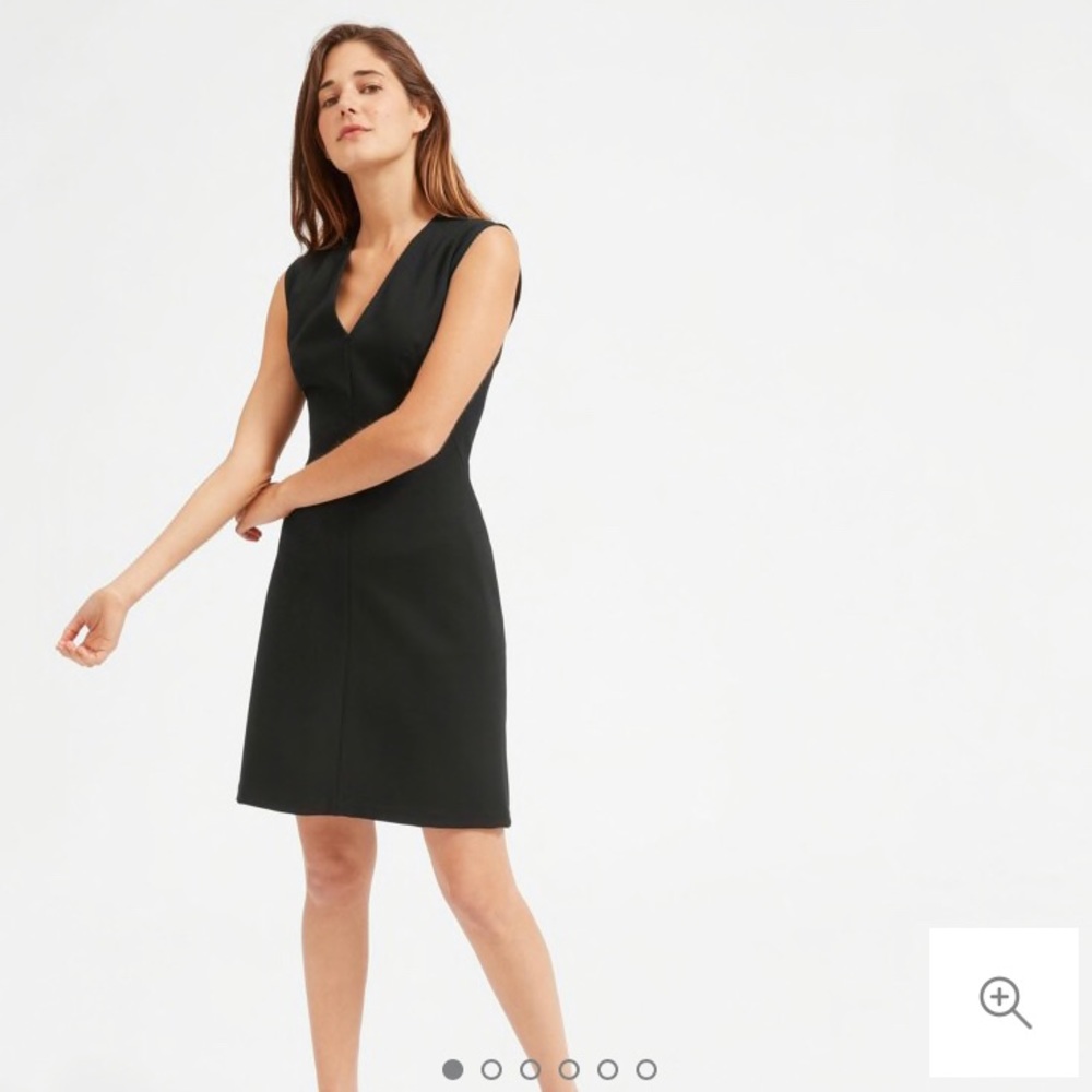 NWOT Everlane The Sleeveless V-Neck Flare Dress
